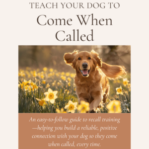 Dog Recall Training Guide eBook: Step-by-Step PDF with Progress Tracker