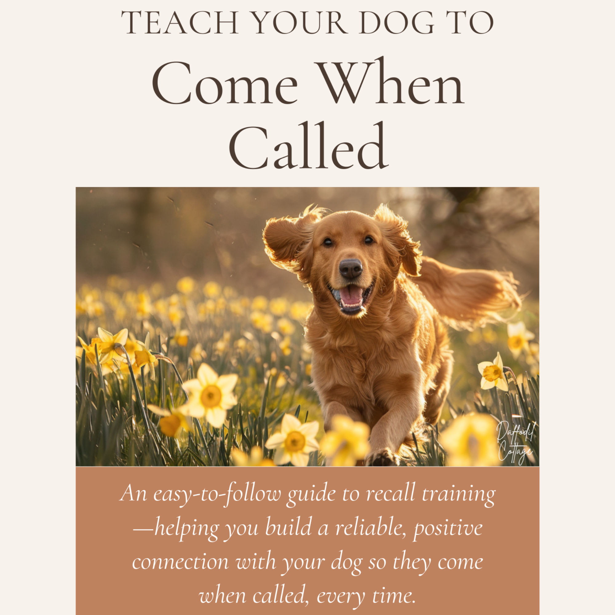 Dog Recall Training Guide eBook: Step-by-Step PDF with Progress Tracker