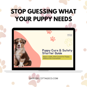 Puppy Care & Safety Guide: Step-by-Step First Weeks Plan (Printable PDF Digital Download)